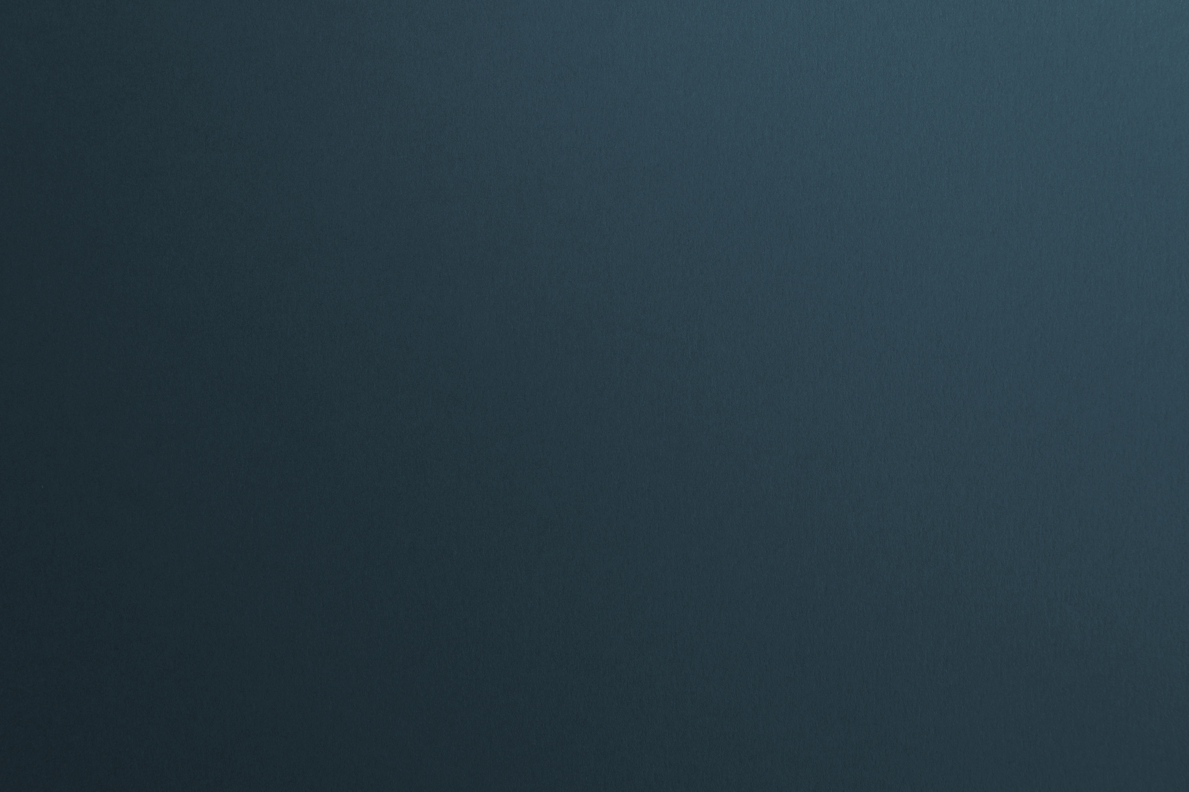 color sólido #1D252D